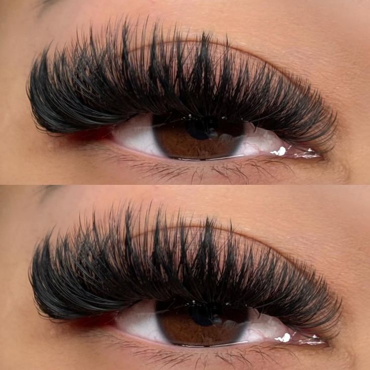 Mega Volume Lash Extension