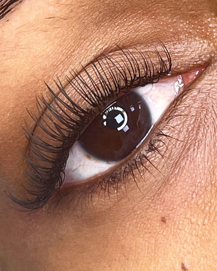 Classic Lash Extension