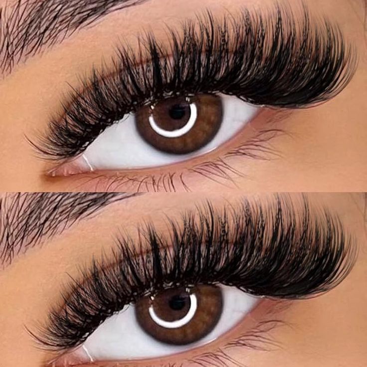Volume Lash Extension