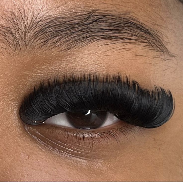 Mega Volume Lash Extension