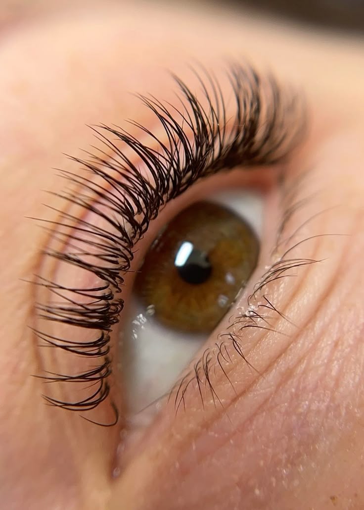 Classic Lash Extension