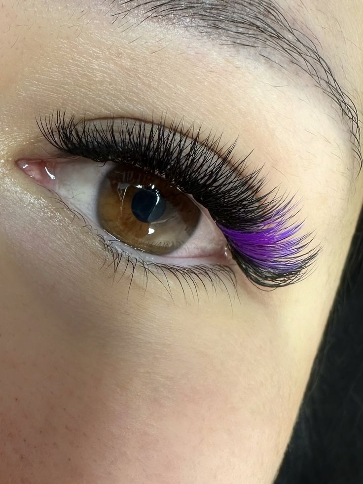 Whispy or Colored Lash